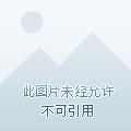 异界的鬼畜触手